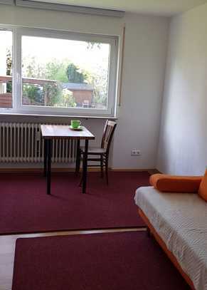 Ruhige, frisch renovierte 1-Raum-Wohnung in Stuttgart
