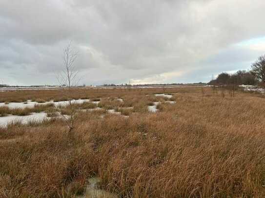 Unbebautes Freizeitgrundstück - Moorfläche im Saterland bei Ostfriesland