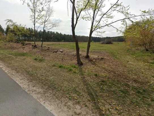 Großes Baugrundstück in Dorfrandlage mit unverbaubarem Waldblick - provisionsfrei