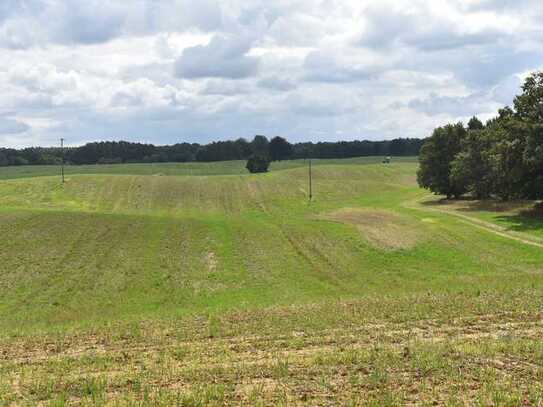 17,28ha Ackerland mit PV-Vertrag kurzfristig abzugeben