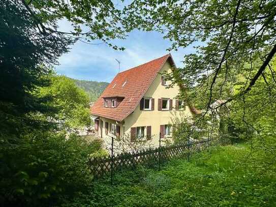 Burgblick - castle view - großzügiges Schwarzwaldhaus in Bad Liebenzell - huge Black Forets house!