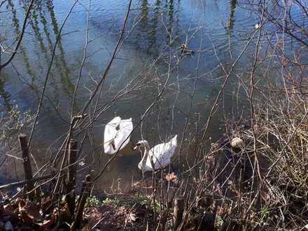 Gepflegte 3,5-Zimmer-EG-Einliegerwohnung mit Einbauküche, Garten am Fluss in Biberach an der Riss