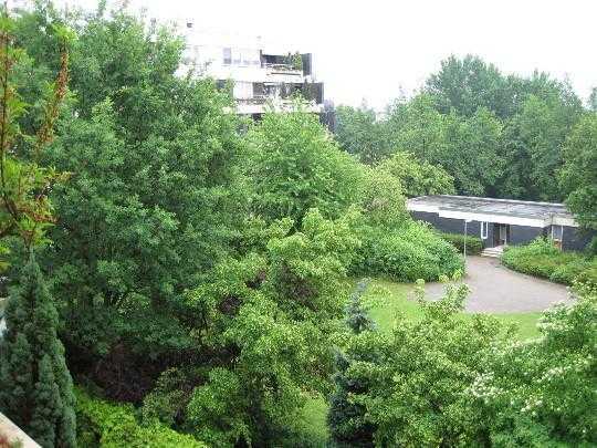 Großzügig geschnittene Wohnung im Herzen von Bonn-Tannenbusch