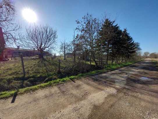 Landwirtschaftsgrundstück mit ehem. Stallanlagen in Ottenhausen *PROVISIONSFREI* zu erwerben