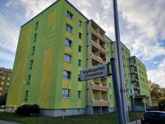 Großzügige Büro-und Praxisfläche in Cottbus - Schmellwitz