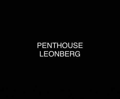 Exklusive 3,5-Raum-Penthouse-Wohnung mit luxuriöser Ausstattung und großer Dachterrasse Leonberg