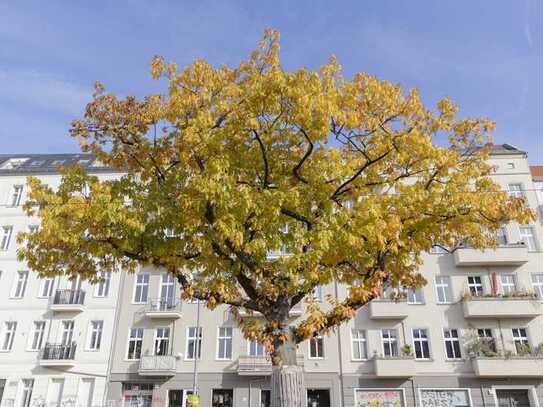 Paketverkauf - 3 vermietete Wohnungen in Friedrichshain nahe dem Petersburger Platz