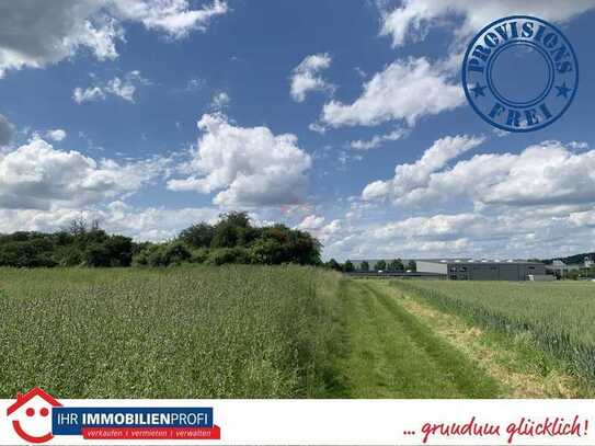 Bauerwartungsland in Fernwald-Annerod im Bereich "Haaracker / Im Himberg"