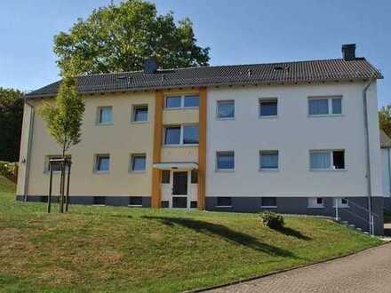Renovierte 3 Zimmerwohnung in Geisweid