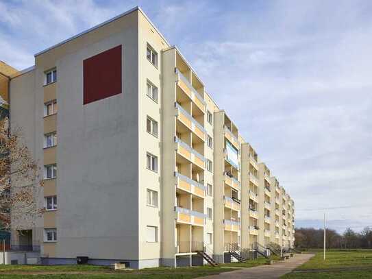 2 Zimmer Wohnung zu vermieten