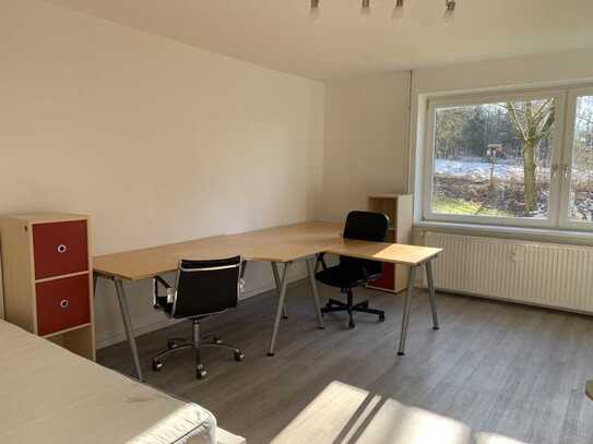 möbliertes und modernes 24 qm WG-Zimmer in ruhiger Lage mit Balkon und EBK in Clausthal-Zellerfeld