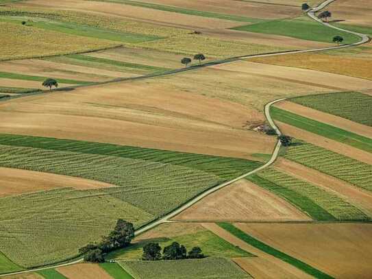 Im Landkreis Steinheim ca. 5,6 ha zu verkaufen!