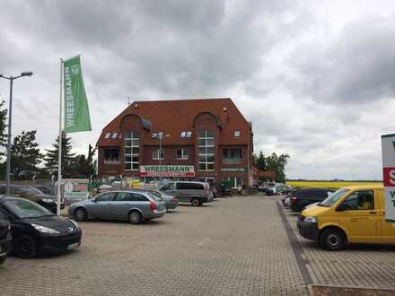 Helle, geräumige 4-Zimmer-Whg. mit Terasse