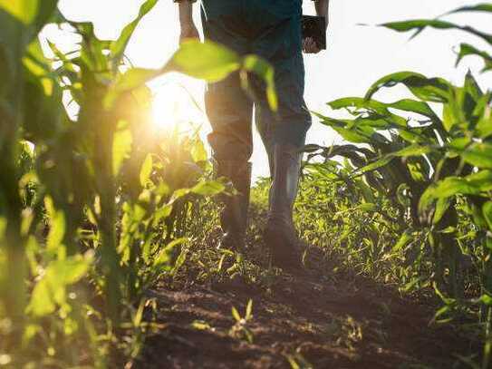 Landwirtschaftliche Fläche in Reichertshausen-Langwaid!