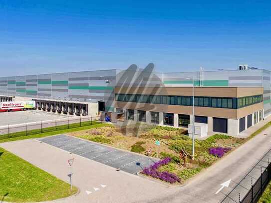 PROVISIONSFREI ✓ LOGISTIK-NEUBAU ✓ östliche Rhein-Main-Region ✓ 20.000 m² / teilbar ✓ TOP-Ausstatt ✓