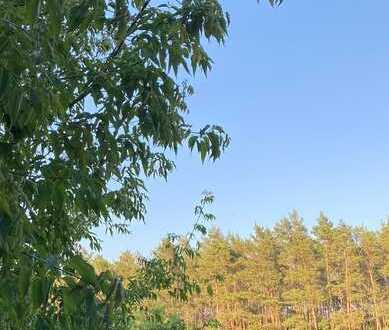 Eines der letzten großen Baugrundstücke in Berlin -Preissenkung!!! Sonnig, direkt am Wald