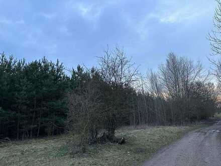 NATUR PUR! Berliner Umland! Majestätischer Wald mit 36.000 m²