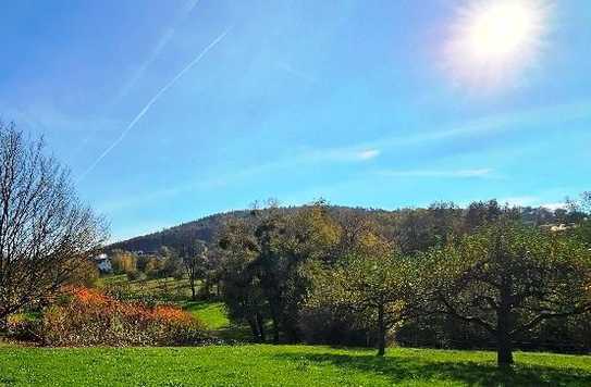 Hösbach-Rottenberg: Wunderschönes Baugrundstück an Bebauungsgrenze mit Naturblick