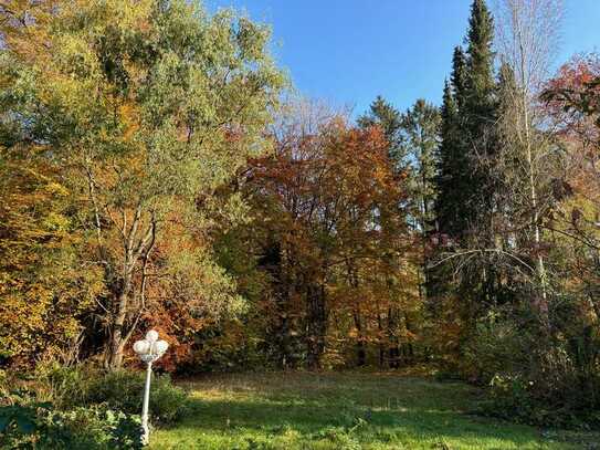 Wassergrundstück mit Blick in den Wohldorfer Wald