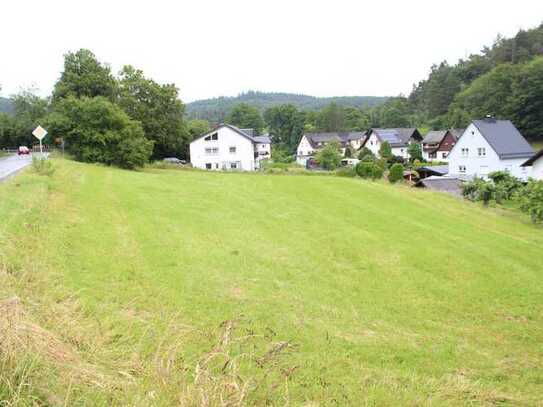 Schönes, sonniges Baugrundstück für Ein- bis Mehrparteienhaus!