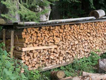 1 ha Waldfläche an der Stadtgrenze zu Rostock!