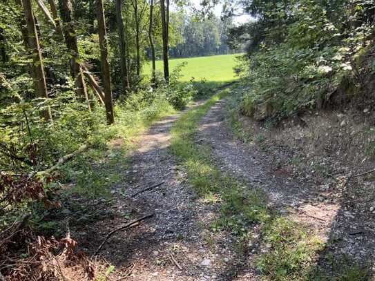 Magstlleiten ca. 2,1 ha Waldfläche mit guter Zufahrt