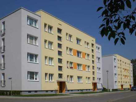 Gemütliche 2-Raum-Wohnung mit Dusche u. Balkon sucht neuen Mieter