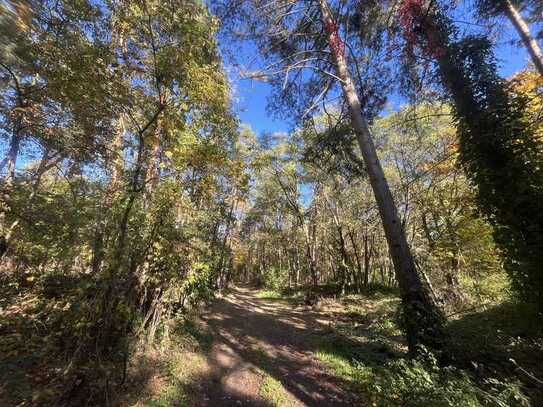 Waldgrundstück in Bestensee