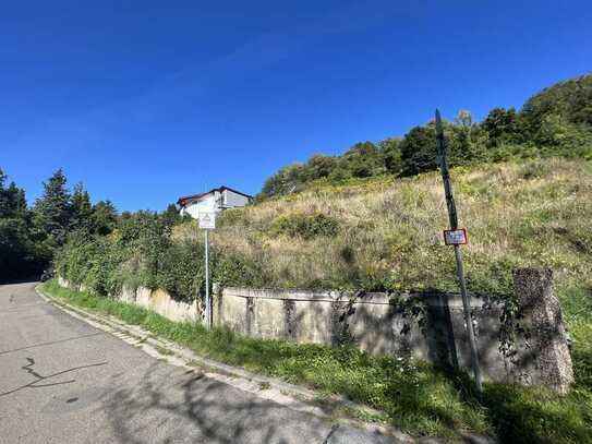 Blick - Sonne - Grundstück für 1-2 Familienhaus - in Bensheim-Gronau