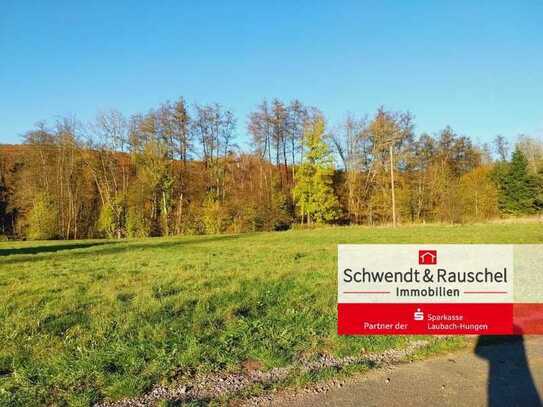 Schönes Grundstück in Naturlage in Laubach-Gonterskirchen