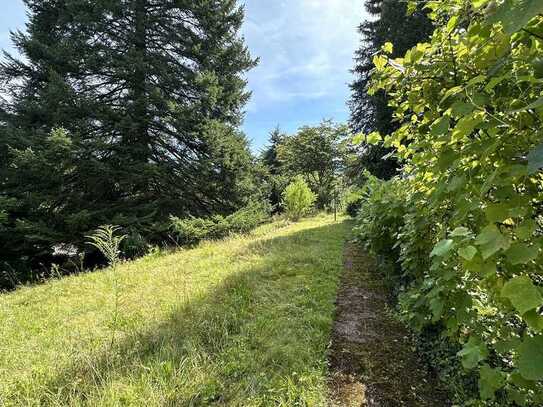 Das passende Grundstück für Ihr Eigenheim! Ganze 1.430 m² in Gernsbach