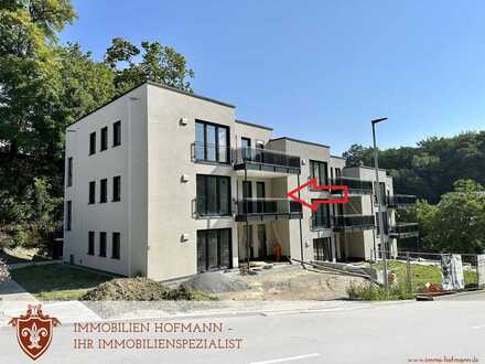 °°° Wohnen am Schlossberg in Teisbach - WHG2 - 1.OG °°°
