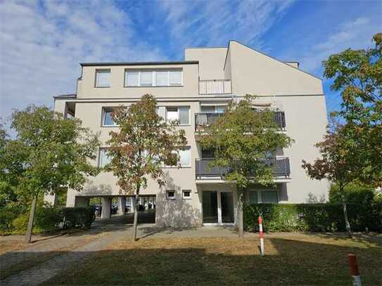 Kirchsteigfeld - Zum Selbstbezug - Wohnung mit vielen Fenstern, Stellplätzen und Terrasse