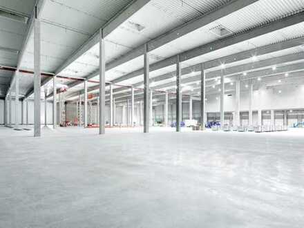"BAUMÜLLER & CO." - ca. 20.000 m² NEUBAU Logistikfläche - Teilflächenanmietung möglich!