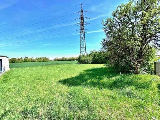 Ohne Altbestand | Erschlossen | Kirchheim