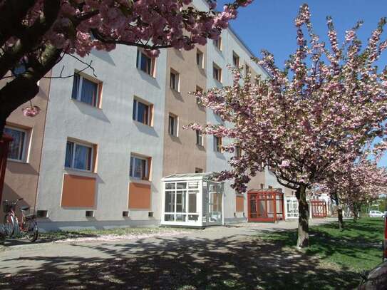 1 Raum-Wohnung mit verglastem Balkon