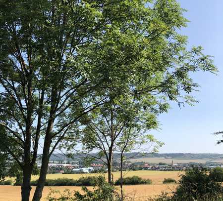 Sonnige 3-Zimmer-Wohnung in LAUCHA