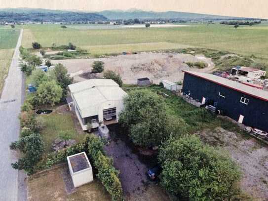 Büro(Wohnung), Werkstatt, Atelier, Ausstellungs/-Produktionshalle mit großem Grundstück