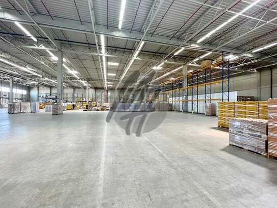 SCHNELL VERFÜGBAR ✓ 24/7 ✓ RAMPE + EBEN ✓ Lager-/Logistik (8.000 m²) mit Büro