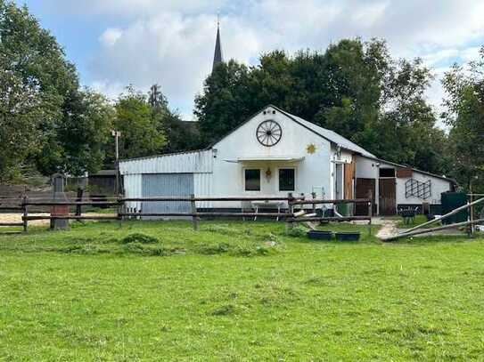 Natur Pur. Pferdewiese mit Stallung in traumhafter Lage ( Rurauen Niederau )