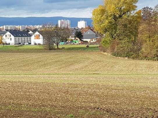 Ein Mittelreihenhaus am malerischen Nidda zum 01.04.2025zu vermieten