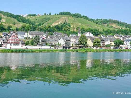 Ca. 5711 m² großer Weinberg - bestockt mit Reben des Weissburgunders und Rieslings