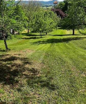 Wunderschöne Obstbaumwiese