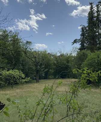 Wohnen am Pappelsee - 525 m² Baugrundstück ohne Maklercourtage oder Bauträgerbindung!