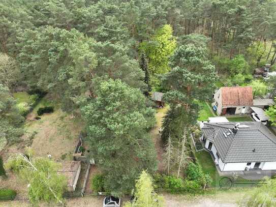 Herrliches Baugrundstück im Herzen von Bestensee direkt am Waldrand