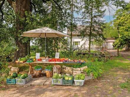 BIO-Bauernhof mit luxuriösem Wohnhaus für Selbstversorger - Acker, Bienen, Kaninchen, Hühner