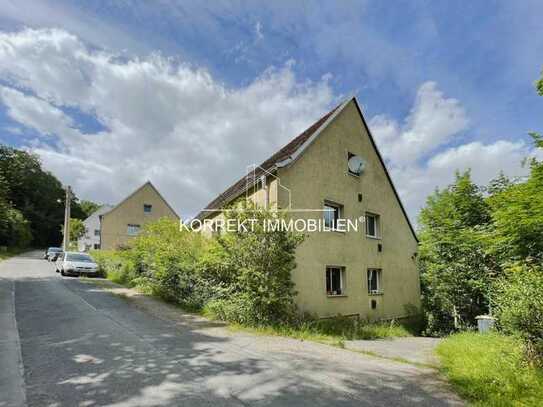 Mehrfamilienhaus-Doppelhaus zum Sanieren (Baugenehmigung vorhanden)