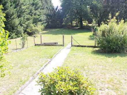 Großzügiges Einfamilienhaus in ruhiger Wohnlage