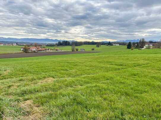 Landwirtschaftliche Fläche zu verkaufen