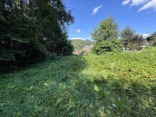 Schönes Baugrundstück in Schriesheim-Altenbach am Waldrand